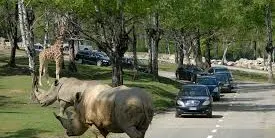 Pombia Safari Park Tickets