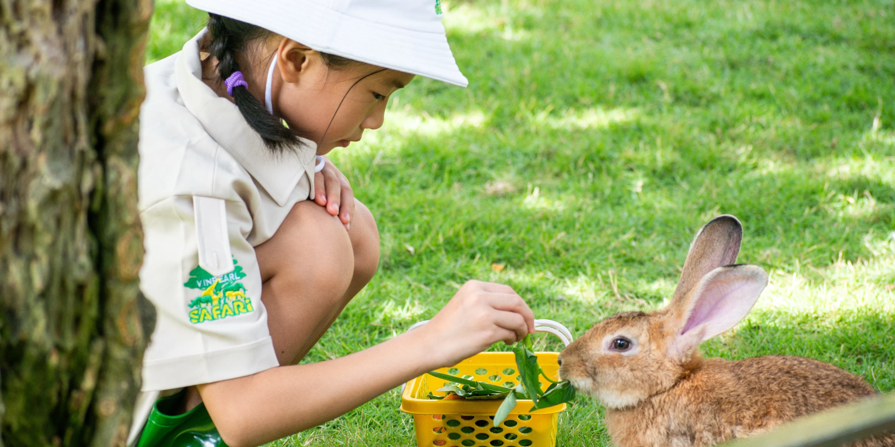 VinWonders Nam Hoi An Tickets