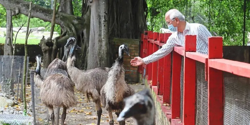 Penang Bird Park Tickets