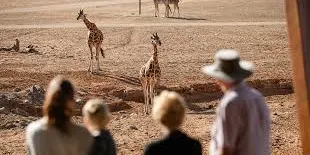 Monarto Safari Park Tickets