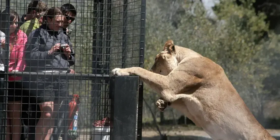 Orana Wildlife Park Tickets