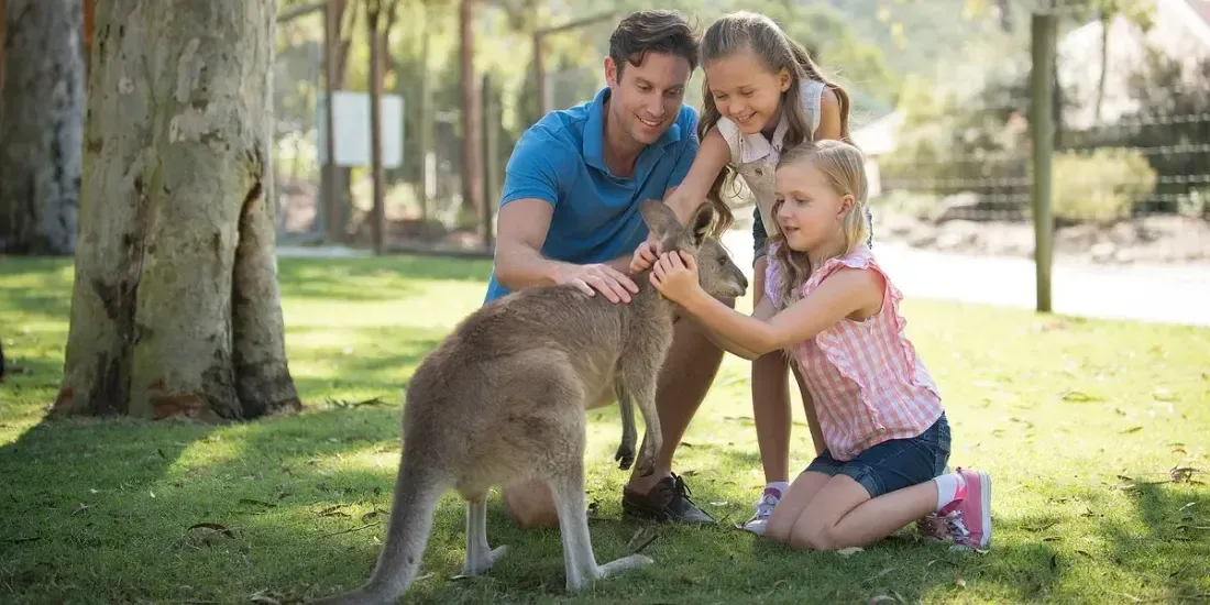 Paradise Country Tickets