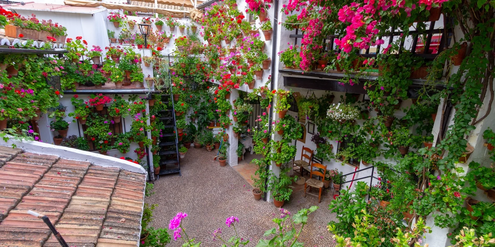 Patios Cordobeses Tour