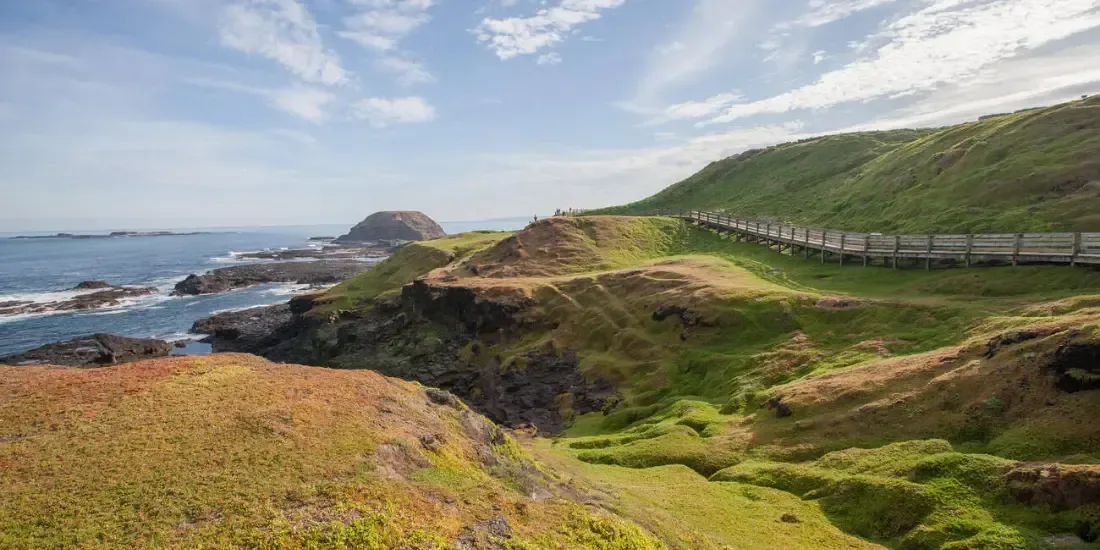 Phillip Island Nature Parks Tickets