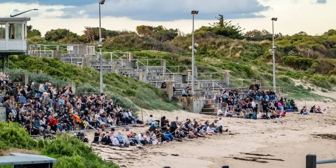 Phillip Island Penguin Parade Tickets
