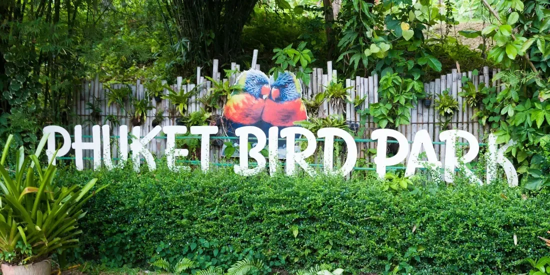 Phuket Bird Park Tickets