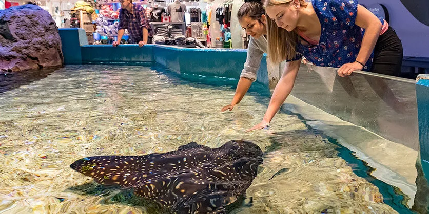 Ripley's Aquarium of Canada Tickets