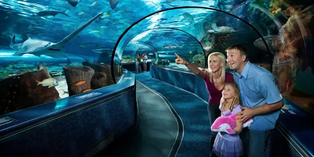 Ripley's Aquarium of Myrtle Beach Tickets