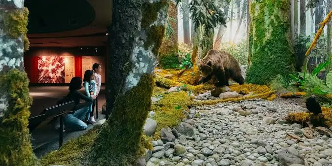 Royal BC Museum Tickets