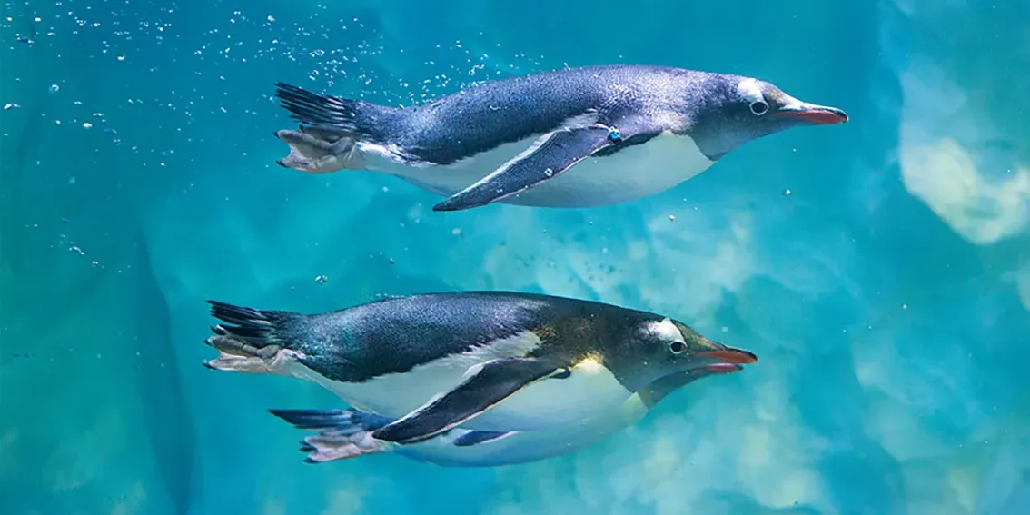 SEA LIFE Konstanz Tickets