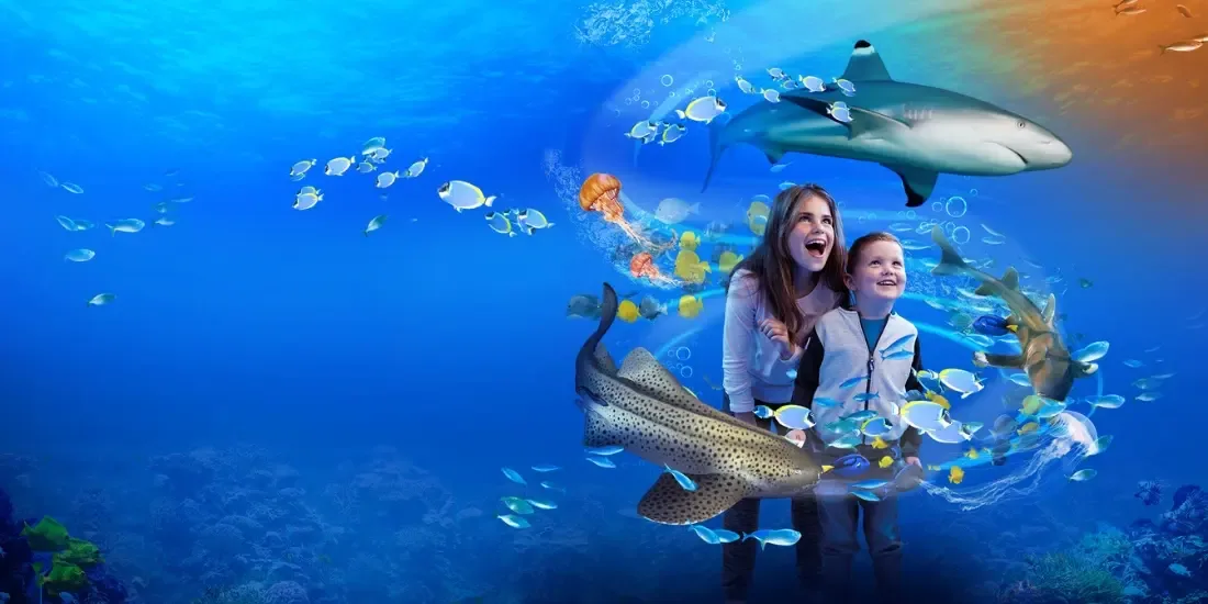 SEA LIFE Melbourne Aquarium Tickets