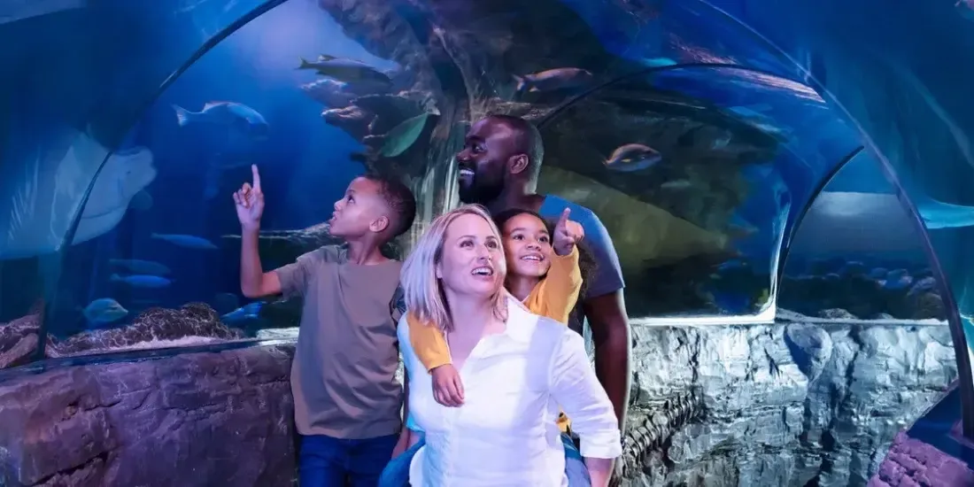 SEA LIFE San Antonio Tickets