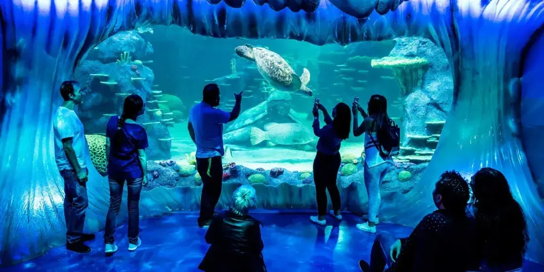 SEA LIFE Sydney Aquarium Tickets