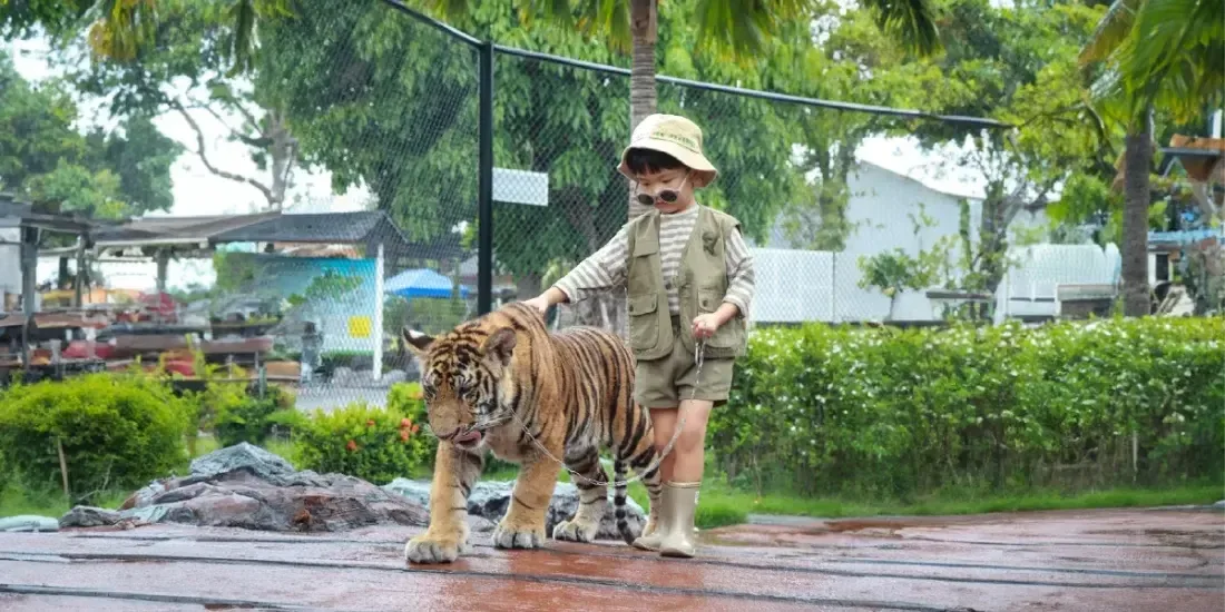 Sriayuthaya Lion Park Tickets