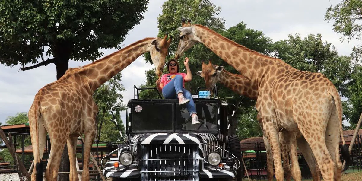 Sriayuthaya Lion Park Tickets