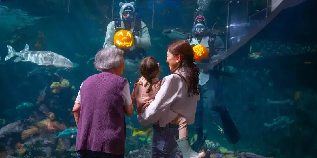 Vancouver Aquarium Tickets