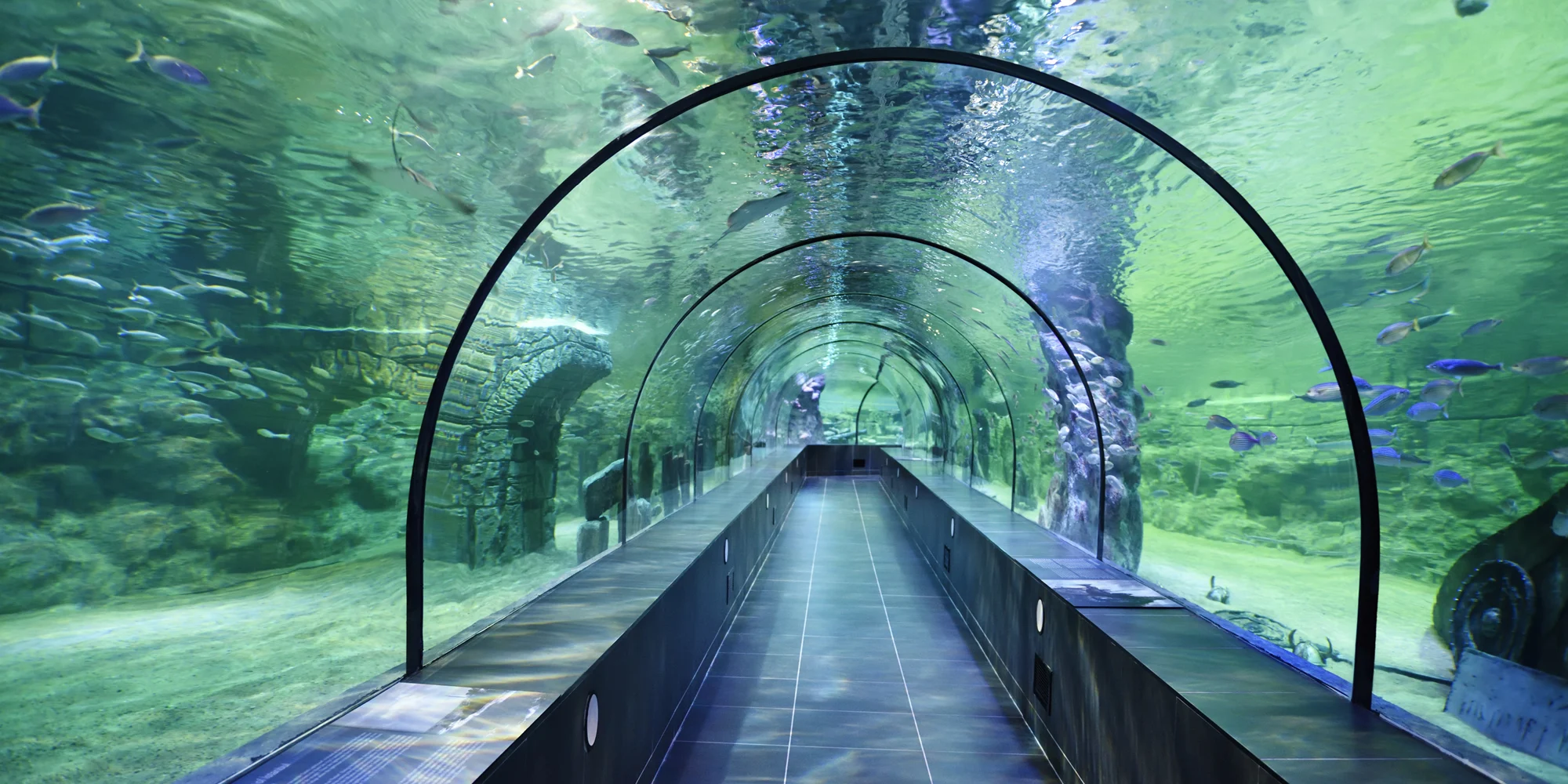ViaSea Aquarium Tickets