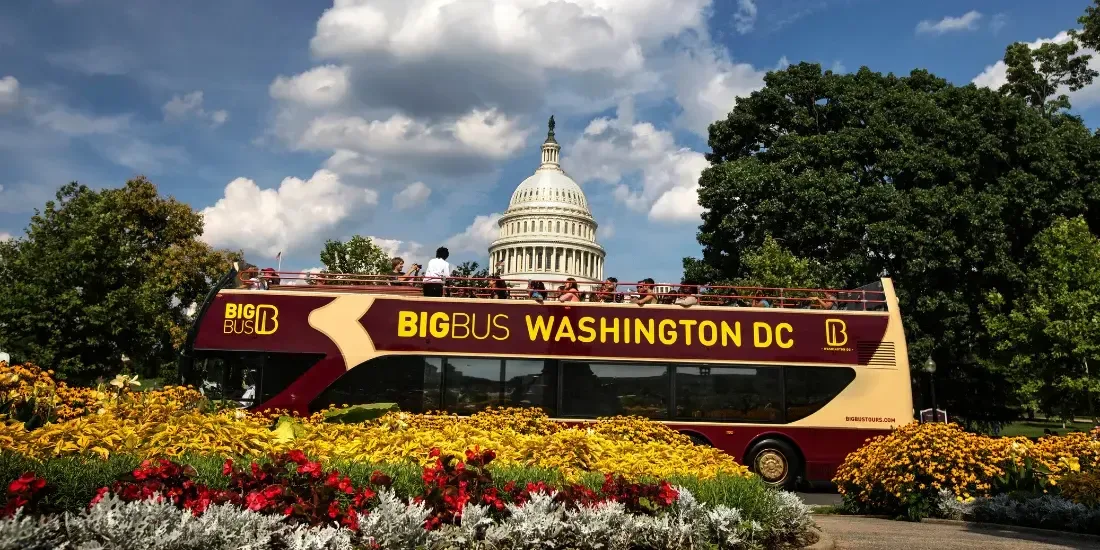 Washington DC Big Bus Hop On Hop Off Tours