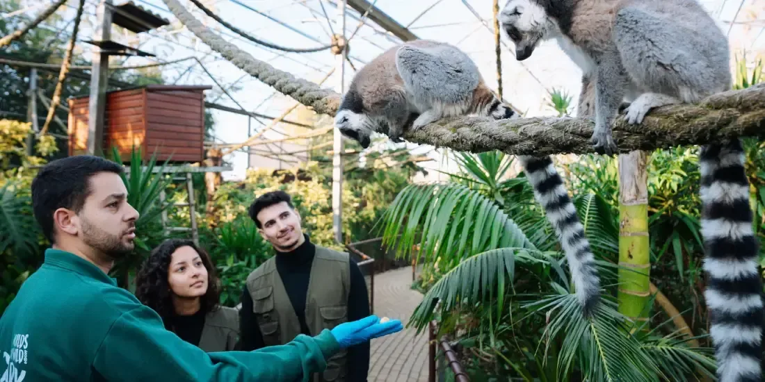 Zoo Santo Inácio Tickets