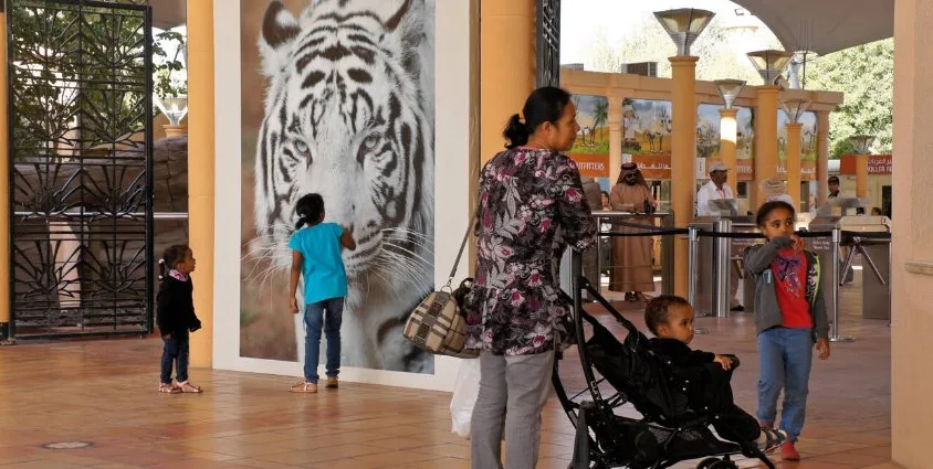 AL Ain Zoo Tickets AL Ain Zoo Tickets