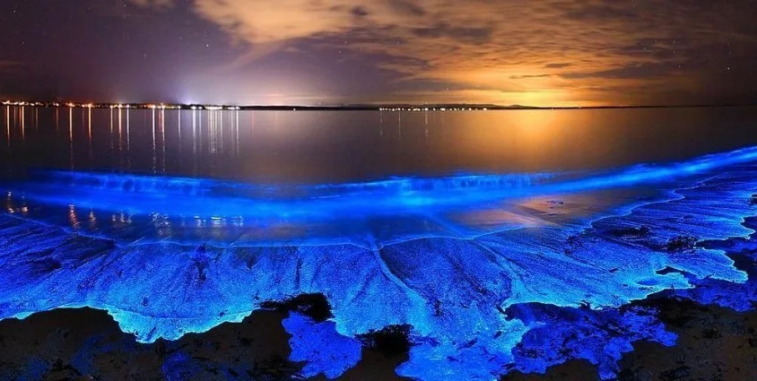 Blue Tears Kuala Selangor Tours Blue Tears Kuala Selangor Tours