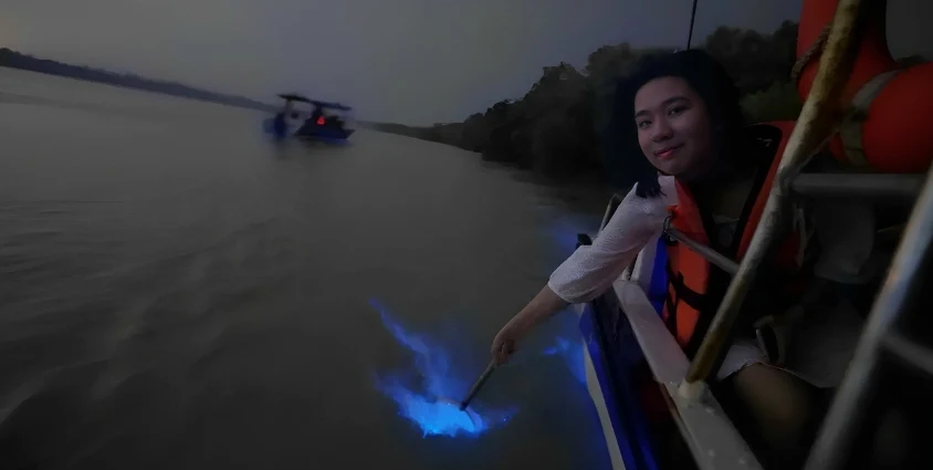 Blue Tears Kuala Selangor Tours Blue Tears Kuala Selangor Tours