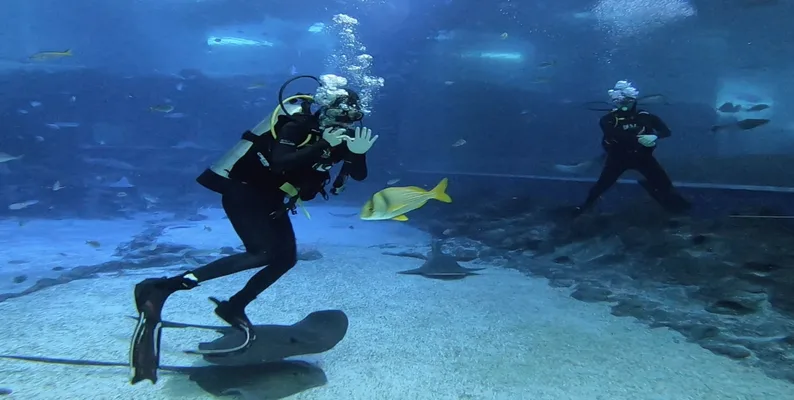 SEA Aquarium Singapore Tickets SEA Aquarium Singapore Tickets