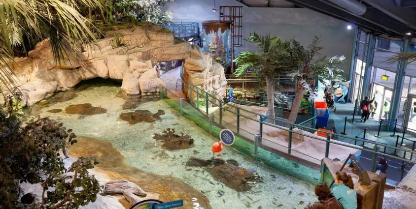 National SEA LIFE Centre Birmingham Tickets National SEA LIFE Centre Birmingham Tickets