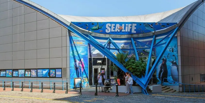National SEA LIFE Centre Birmingham Tickets National SEA LIFE Centre Birmingham Tickets