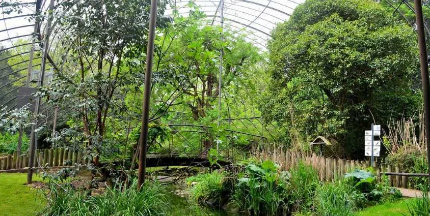 Ménagerie, The Zoo of the Jardin des Plantes Tickets Ménagerie, The Zoo of the Jardin des Plantes Tickets