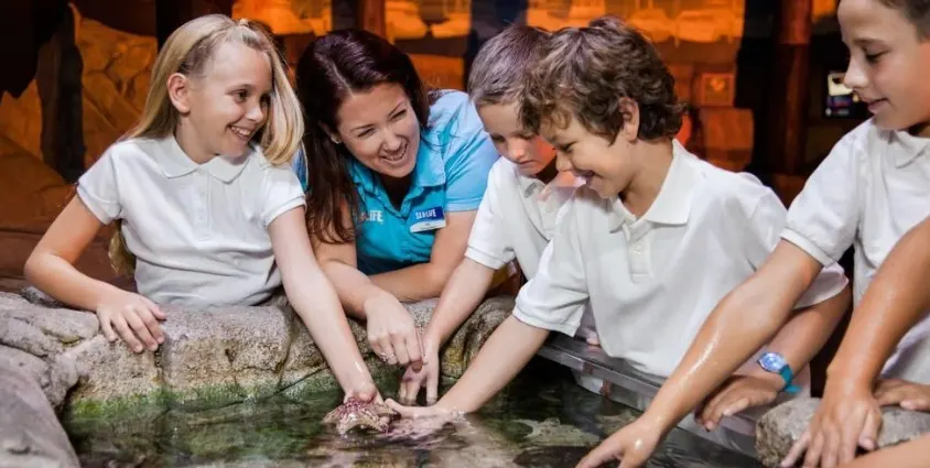 SEA LIFE Brighton Tickets SEA LIFE Brighton Tickets
