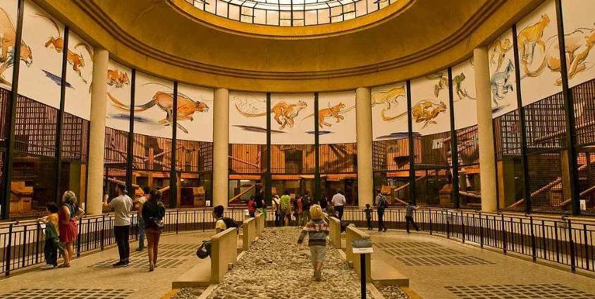Ménagerie, The Zoo of the Jardin des Plantes Tickets Ménagerie, The Zoo of the Jardin des Plantes Tickets