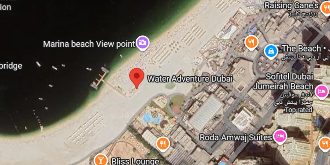 Google Map