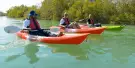 Abu Dhabi Mangroves Kayaking Tours Abu Dhabi Mangroves Kayaking Tours