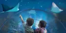 Acquario di Livorno Tickets Acquario di Livorno Tickets