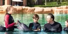 Dolphin Bay Atlantis Tickets Dolphin Bay Atlantis Tickets