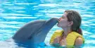 Dolphin Bay Atlantis Tickets Dolphin Bay Atlantis Tickets