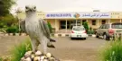 Falcon Hospital Abu Dhabi Tours Falcon Hospital Abu Dhabi Tours