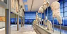 Acropolis Museum Tickets Acropolis Museum Tickets