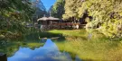 Alishan National Forest Recreation Area Tickets