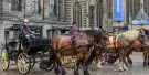 Amsterdam Sightseeing Tours Amsterdam Sightseeing Tours