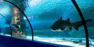 Antalya Aquarium Tickets