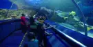 Aquaria KLCC Tickets Aquaria KLCC Tickets