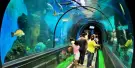 Aquaria Phuket Tickets Aquaria Phuket Tickets