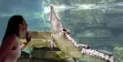 Dubai Crocodile Park Tickets Dubai Crocodile Park Tickets