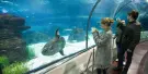 Aquarium Barcelona Tickets Aquarium Barcelona Tickets