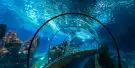 Aquarium Barcelona Tickets Aquarium Barcelona Tickets
