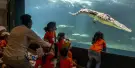 Dubai Crocodile Park Tickets Dubai Crocodile Park Tickets