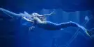 Aquarium de Paris Tickets Aquarium de Paris Tickets