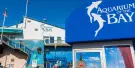 Aquarium of the Bay Tickets Aquarium of the Bay Tickets